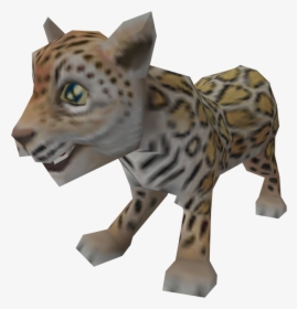 Pet Lion Cub, HD Png Download, Free Download