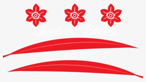 Shoots And Blooms Of D, HD Png Download, Free Download