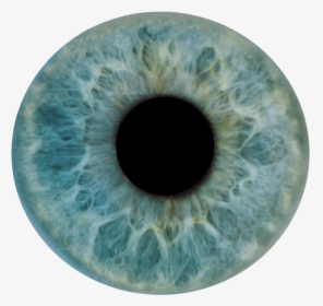 Hazel Eyes Clipart Eye Pupil - High Resolution Eyeball Texture, HD Png Download, Free Download