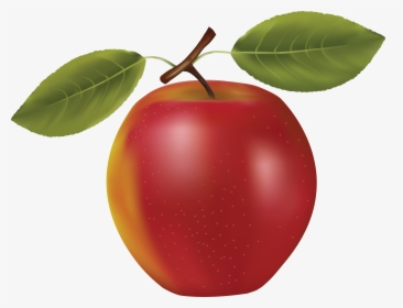 Apple Png - Apple With Two Leaves, Transparent Png, Free Download