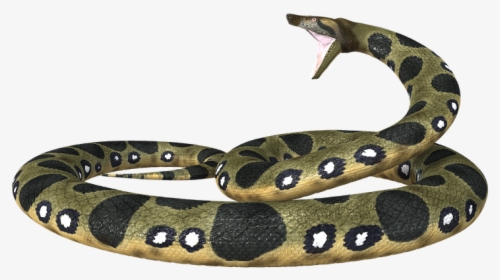 Hd Anaconda Toxic Transparent Background - Anaconda Transparent Png, Png Download, Free Download