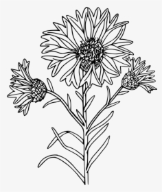 Wildflowers Png Black And White - Coloring Page, Transparent Png, Free Download
