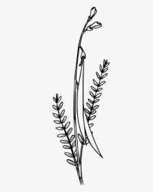 Wildflower Clipart Black And White, HD Png Download, Free Download