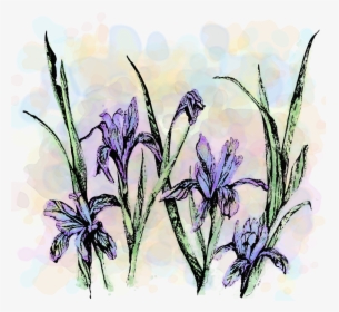 Wildflower Show -1, HD Png Download, Free Download