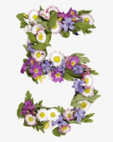 Wildflowers Font - Flower Number Png, Transparent Png, Free Download
