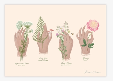 Wildflowers - Illustration, HD Png Download, Free Download