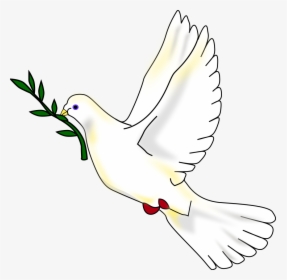 Transparent Holy Spirit Dove Png - Rock Dove, Png Download, Free Download