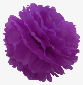 Violet Tissue Pom Pom , Png Download - Tissue Pom Pom Png, Transparent Png, Free Download