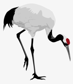 Free To Use Public Domain Birds Clip Art - Whooping Crane Clip Art, HD Png Download, Free Download