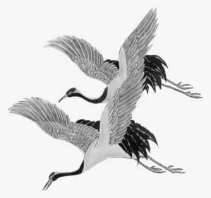 Chinese Crane Png , Png Download - Drawing Crane Bird Flying, Transparent Png, Free Download