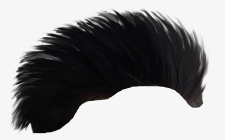 Cb Hair Png - Feather, Transparent Png, Free Download