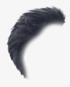 Hair Png Side View, Transparent Png, Free Download