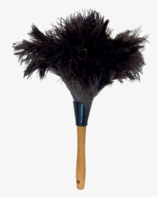 14” Ostrich Feather Duster - Feather Duster Transparent Background, HD Png Download, Free Download