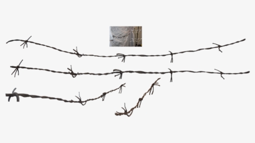 Barbed Wire Png - Png Barbed, Transparent Png, Free Download