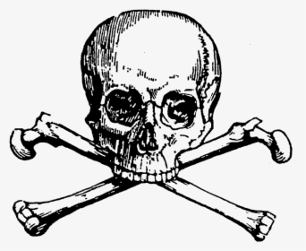 Transparent Bones Cross - Transparent Background Skull And Crossbones Clip Art, HD Png Download, Free Download