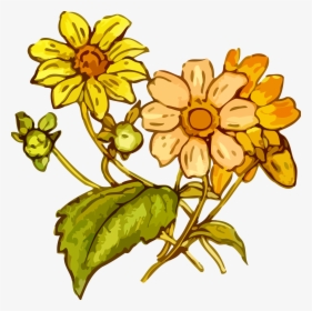 Tropical Flower Clipart 25, Buy Clip Art - Yellow Drawing Flower Png, Transparent Png, Free Download