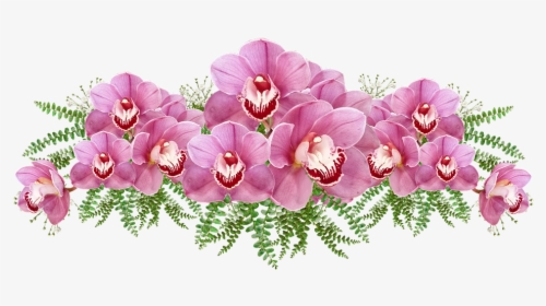 Flowers, Pink, Orchids, Exotic, Tropical, Cut Out - Phalaenopsis Sanderiana, HD Png Download, Free Download
