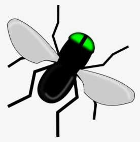 Fly, Bug, Black, Insect, Wings, Nature - Ant, HD Png Download, Free Download