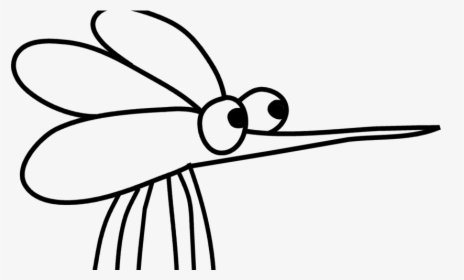 Net-winged Insects Clipart , Png Download - Net-winged Insects, Transparent Png, Free Download