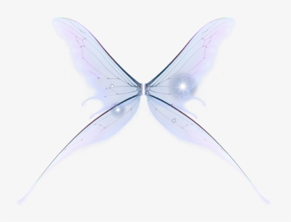 Polyommatus, HD Png Download, Free Download