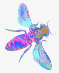 #holo #holographic #bee #wasp #insect #bug #wings #fly - Holographic Bee Png, Transparent Png, Free Download