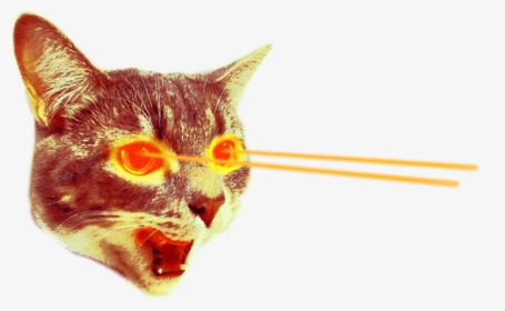 Cat Laser Eyes Png, Transparent Png, Free Download