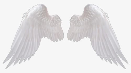 Angel Wing Png - Transparent Background Angel Wings Png, Png Download, Free Download