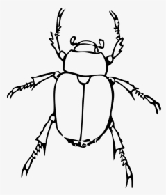 Insect Black And White Images Image Png Clipart - Insect Clipart Black And White, Transparent Png, Free Download