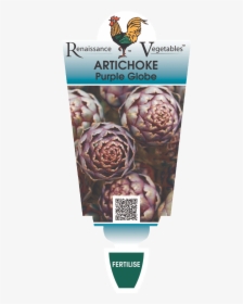 Artichoke Purple Globe - Artichoke, HD Png Download, Free Download