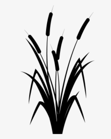 Reed Black And White - Black And White Reed Plant, HD Png Download, Free Download