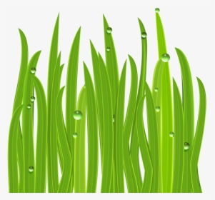 Grass Decor Png Image - การ ตู น หญ้า, Transparent Png, Free Download