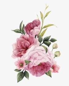 Pink Flowers Still Life - Transparent Pink Flowers Png, Png Download, Free Download