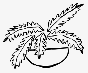 Transparent Fern Png, Png Download, Free Download