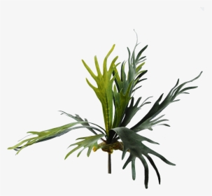 Grass, HD Png Download, Free Download