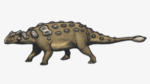 Ankylosaurus Facts, HD Png Download, Free Download
