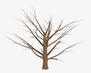 Tree, Png, Isolated, Dead Plant, Weathered, Old, Morsch - Pixel Dead Tree Png, Transparent Png, Free Download
