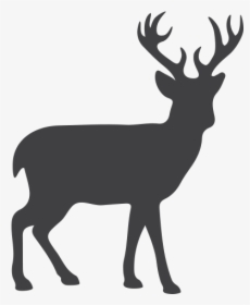Deer Paper Cut Out, HD Png Download, Free Download