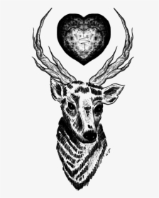 Deer, Draw, And Louis Image - Louis Tomlinson Tattoos Sticker, HD Png Download, Free Download