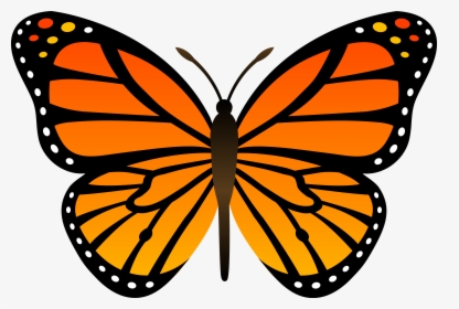 Orange Butterfly Png Image, Butterflies Free Download - Drawing Easy Monarch Butterfly, Transparent Png, Free Download