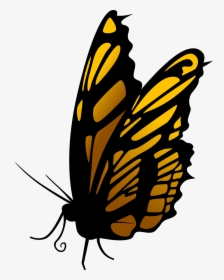 Butterfly Png Clip Art, Transparent Png, Free Download