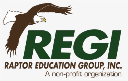 Regi Logo Large Transparent - Raptor Education Group Logo, HD Png Download, Free Download