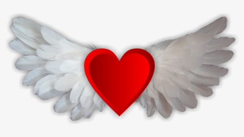 Transparent Heart With Wings Clipart - Logo Good Morning My Darling, HD Png Download, Free Download