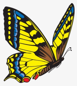 Butterfly Clipart Free Images - Flying Butterfly Clip Art, HD Png Download, Free Download