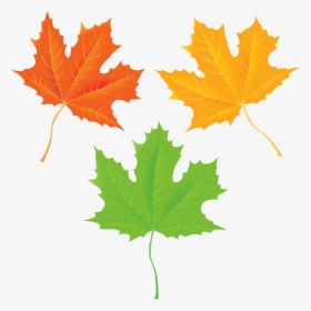 Transparent Fall Tree Clipart Png, Png Download, Free Download