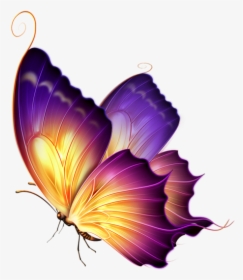 Butterfly Clipart Png Image Free Download Searchpng - Butterfly Png For Editing, Transparent Png, Free Download