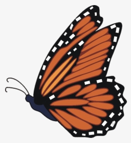 Monarch Butterfly Clipart - Flying Monarch Butterfly Clipart, HD Png Download, Free Download