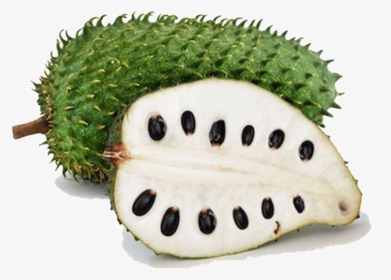 Soursop Png, Transparent Png, Free Download