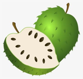 Soursop Graviola Guyabano Fruits Hd Png Download Kindpng