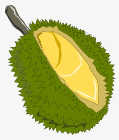 Jack Fruit Clipart, HD Png Download, Free Download