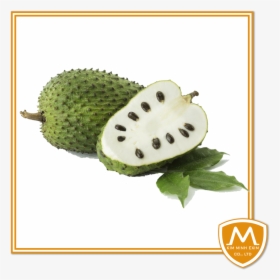 Soursop Graviola Guyabano Fruits Hd Png Download Kindpng